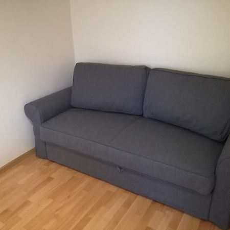 Apartment For Rent Druskininkai Luaran gambar