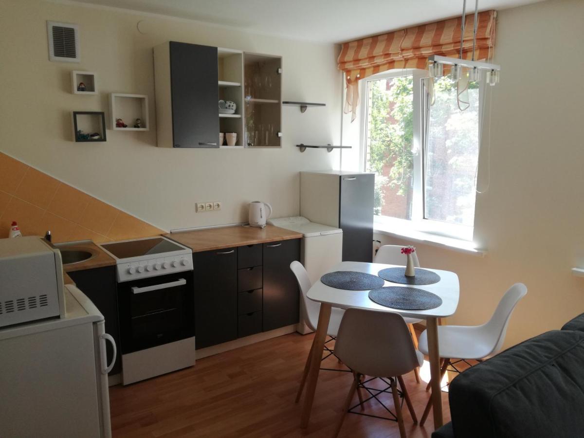 Apartment For Rent Druskininkai Luaran gambar