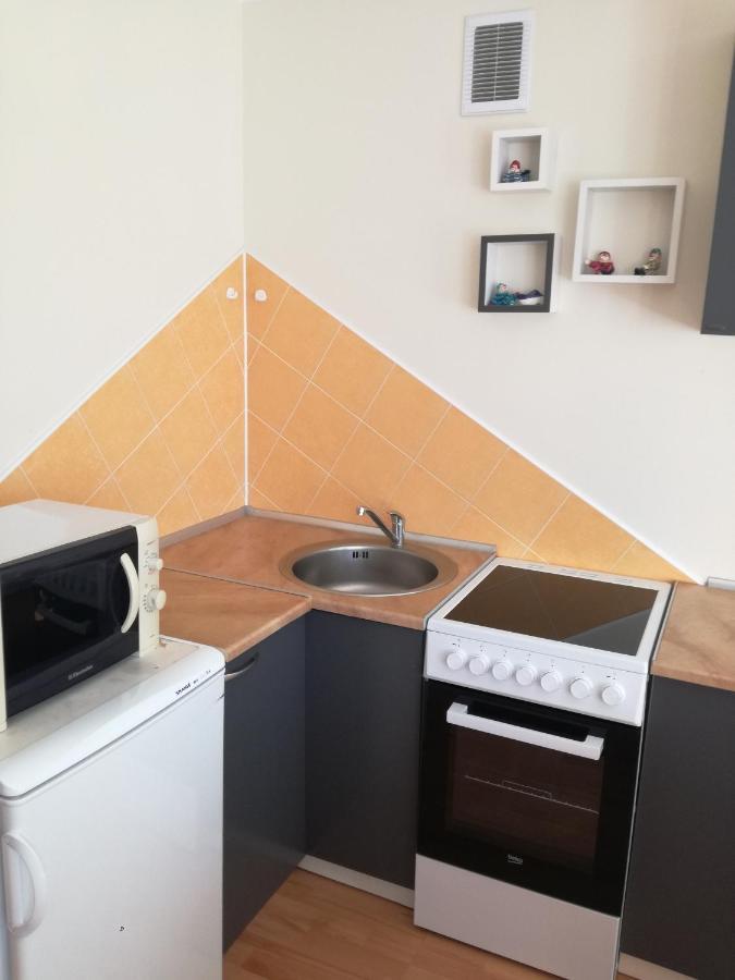 Apartment For Rent Druskininkai Luaran gambar