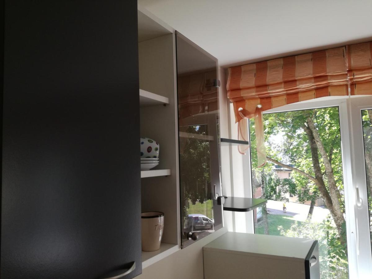 Apartment For Rent Druskininkai Luaran gambar